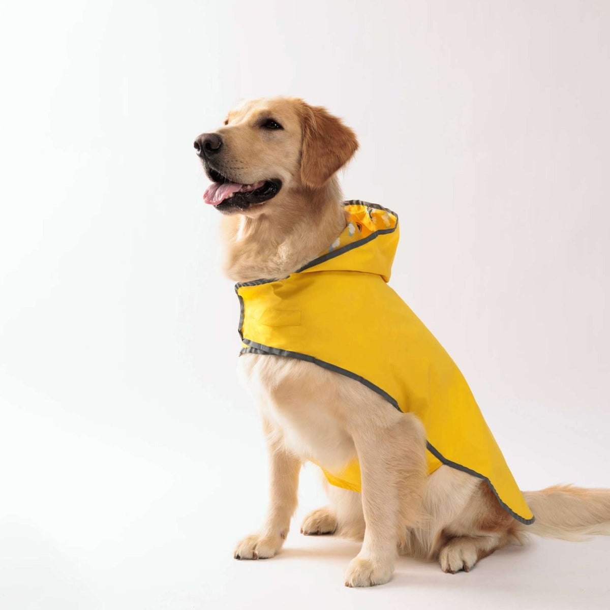 Reflective Waterproof Dog Rain Coat