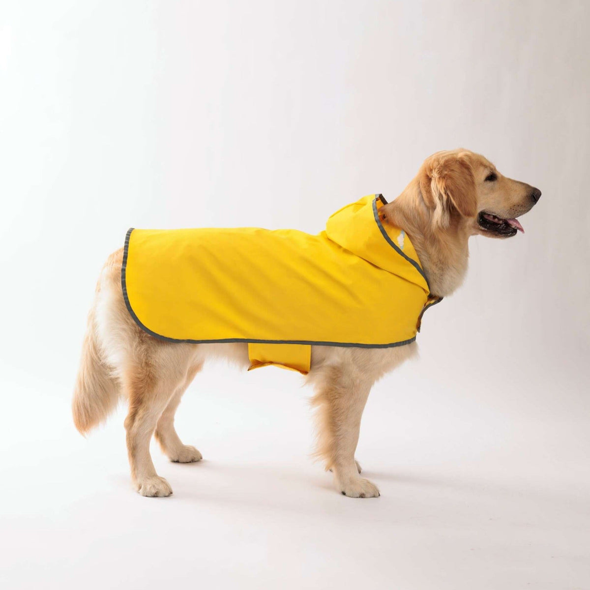 Reflective Waterproof Dog Rain Coat