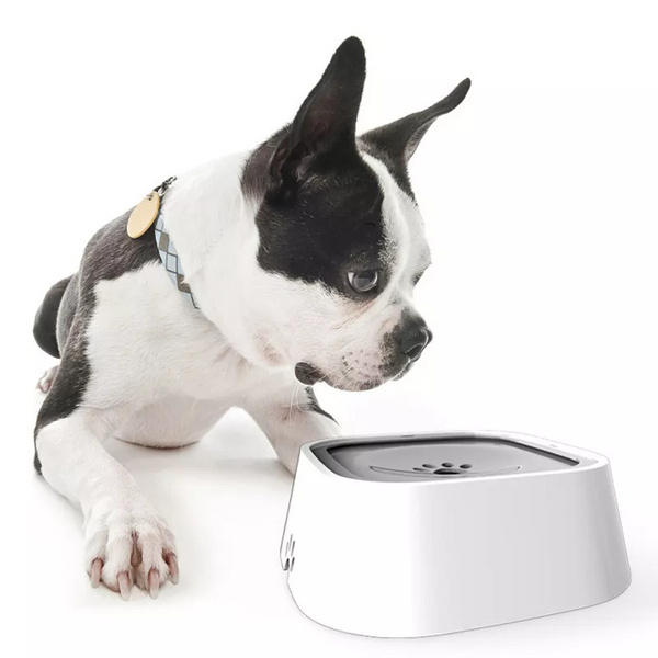 Dog Drinking Anti-spill Water Bowl