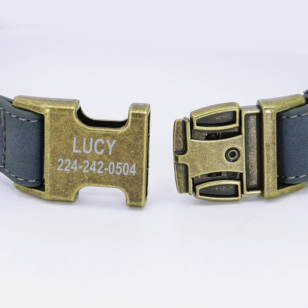 Personalized Dog ID Collar