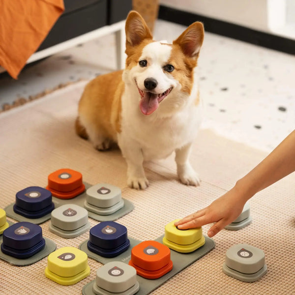 Dog Training Record Button